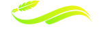 Dezwave Logo